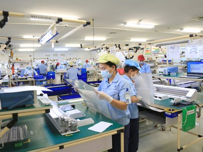 9 tháng năm 2025, trên địa bàn TP. Hà Nội ghi nhận 25.000 doanh nghiệp đăng ký thành lập mới, tăng 10,5% so với cùng kỳ năm 2024.