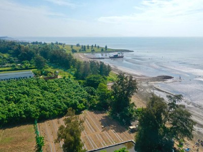 Khu Nam đón sóng đầu tư từ siêu đô thị biển Cần Giờ