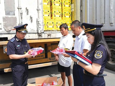 Thu ngân sách từ xuất nhập khẩu có dấu hiệu giảm dù kim ngạch tăng mạnh