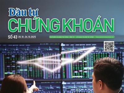 Báo Đầu tư Chứng khoán số 43