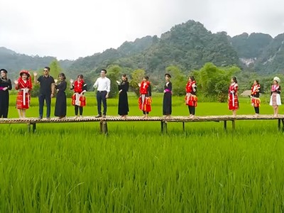 Trong bức tranh phát triển du lịch Việt Nam và xây dựng nông thôn mới, du lịch nông thôn đang từng bước khẳng định vị thế như một “ngành công nghiệp văn hóa xanh”. Ảnh: Nhật Hạ.