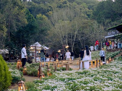 Lâm Đồng sẽ thanh, kiểm tra hoạt động “tour giá rẻ”