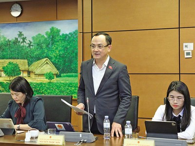 Đại biểu Nguyễn Ngọc Sơn (Hải Phòng) phát biểu tại tổ