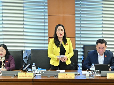 Đại biểu Nguyễn Thị Thủy phát biểu tại tổ. Ảnh: PT. 