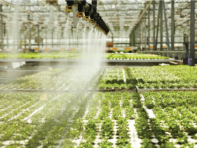 10 tháng năm 2025 ghi nhận 1.534 doanh nghiệp nông nghiệp, lâm nghiệp và thuỷ sản thành lập mới 