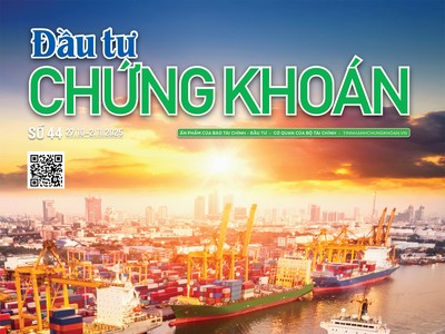 Báo Đầu tư Chứng khoán số 44