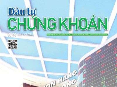 Báo Đầu tư Chứng khoán số 46