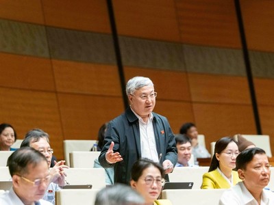 Đại biểu Trần Văn Lâm (Bắc Ninh)