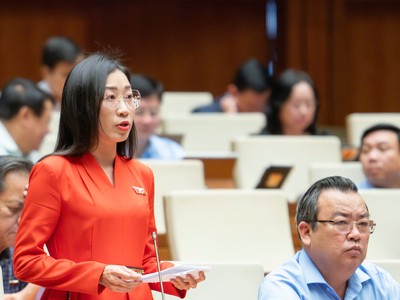 Đại biểu Hoàng Thị Thanh Thúy (Tây Ninh).