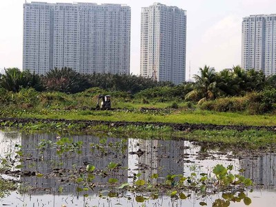 Nếu danh mục đợt 2 được thông qua, TP.HCM sẽ có 117 khu đất, với tổng diện tích hơn 1.510,3 ha tham gia thí điểm.