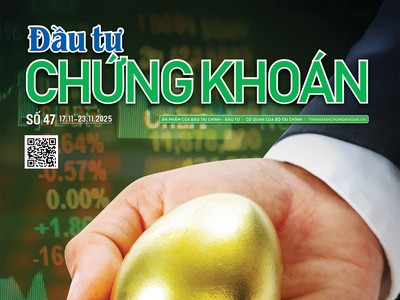 Báo Đầu tư Chứng khoán số 47