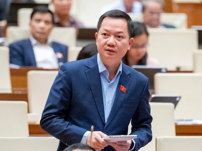  Đại biểu Trịnh Xuân An (Đồng Nai) phát biểu tại hội trường. 