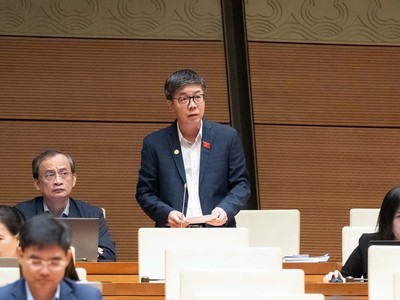 Đại biểu Nguyễn Mạnh Hùng tham gia thảo luận. 