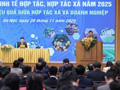 Phó Thủ tướng Nguyễn Chí Dũng phát biểu khai mạc Diễn đàn Kinh tế hợp tác, hợp tác xã năm 2025 - Ảnh: VGP.