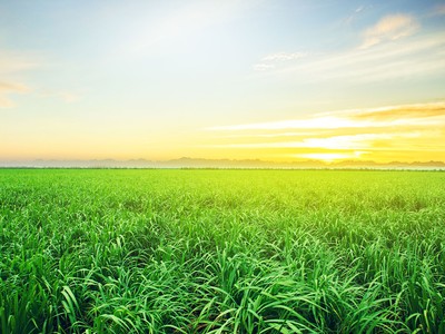 AgriS: kiên định xây dựng một hình mẫu về doanh nghiệp phát triển bền vững