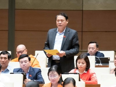 Đại biểu Nguyễn Thành Nam (Phú Thọ) 