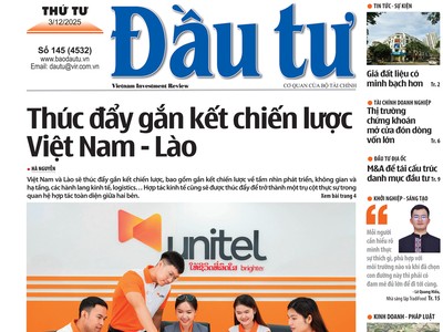 Báo Đầu tư số 145