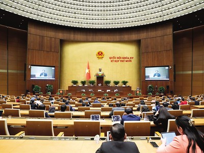 Bộ trưởng Bộ Nông nghiệp và Môi trường Trần Đức Thắng giải trình tại Quốc hội 