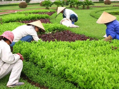 Hà Nội: Mời thầu 2 gói thầu cung cấp dịch vụ công ích tại xã Thuận An