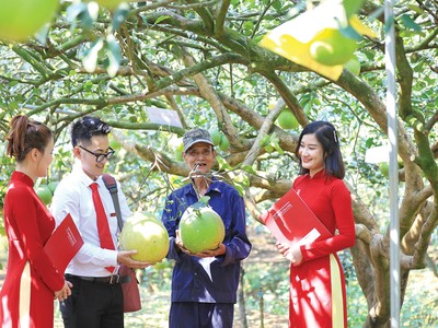 Tính đến 30/9/2025, dư nợ tín dụng xanh của Agribank đạt 28.355,5 tỷ đồng