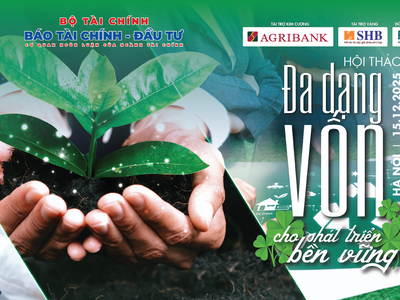 Báo Tài chính – Đầu tư tổ chức Hội thảo Đa dạng vốn cho phát triển bền vững