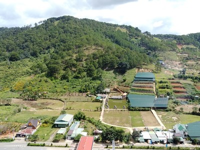 Lâm Đồng sẽ xây dựng, hình thành được một số các chính sách, cơ chế ưu đãi đặc thù nhằm thu hút các nhà đầu tư, các nhà khoa học lớn trên thế giới quy tụ về Cao nguyên Di Linh. Ảnh: Linh Đan 