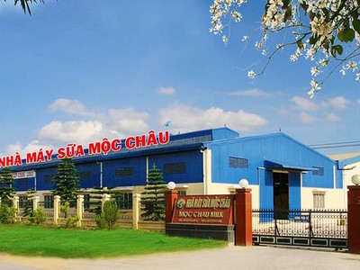 Công ty cổ phần Giống bò sữa Mộc Châu thông báo phát hành cổ phiếu ra công chúng