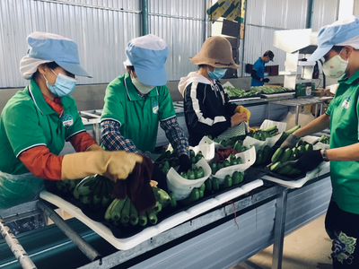 Lộ diện nhân sự do nhóm cổ đông nắm 34,5% vốn Hoàng Anh Gia Lai (HAG) đề cử vào HĐQT