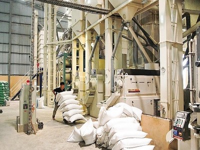 TCO: Lãi ròng quý I/2025 cao gấp 3,8 lần cùng kỳ năm trước, đạt hơn 33 tỷ đồng