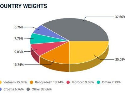 VCG - tân binh lọt rổ MSCI có gì đáng chú ý?