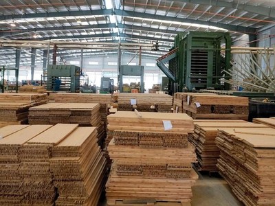 Cổ phiếu tím nhiều phiên dù Sao Thái Dương (SJF) chưa có nhiều doanh thu từ mảng gỗ tre