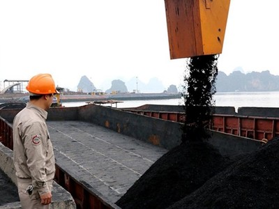 Vì sao cổ phiếu than tăng mạnh?