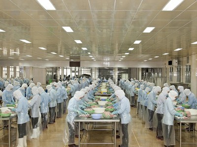 Thủy sản Bến Tre (ABT): 6 tháng đầu năm lãi ròng đạt 17,9 tỷ đồng, tăng 70%