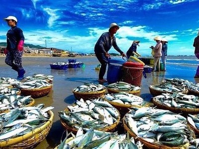 Trisedco (DAT) phát hành hơn 9,2 triệu cổ phiếu trả cổ tức năm 2019 và 2020, tỷ lệ 20%