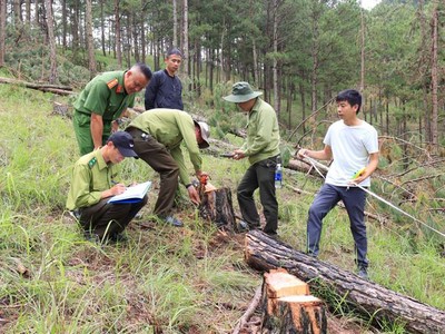 Lực lượng Công an phối hợp cùng cơ quan chức năng khám nghiệm hiện trường. (Nguồn: Bộ Công An)