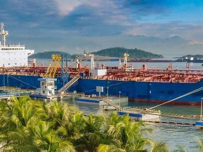 Vận tải Xăng dầu Vitaco (VTO) lãi giảm 14% sau kiểm toán