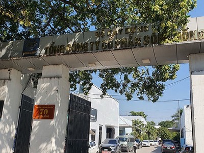 Mua chui 7 triệu cổ phiếu, một cổ đông lớn của Tổng công ty Sông Hồng (SHG) bị phạt 