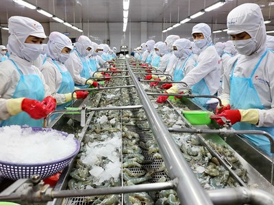 Thuỷ sản Minh Phú (MPC) báo lãi quý II/2025 gấp 4,3 lần cùng kỳ