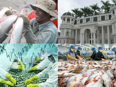 Cá da trơn Việt Nam xuất khẩu vào Mỹ sẽ phải đáp ứng tiêu chuẩn tương đồng với các nông trại Mỹ