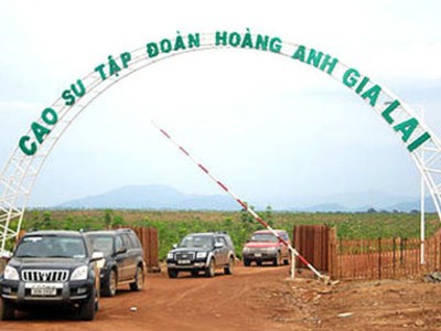 HAG huy động xong 1.000 tỷ đồng trái phiếu năm 2014