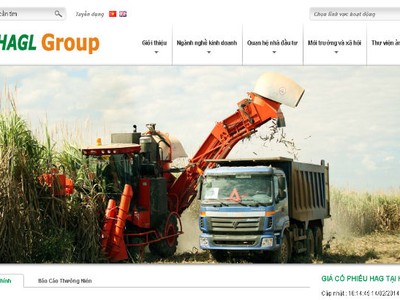 HAG: Người nhà Tổng giám đốc bị phạt vì bán chui