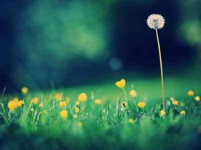 Sự kiện chứng khoán đáng chú ý ngày 8/10