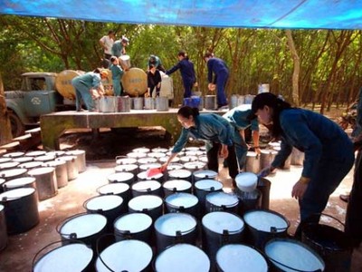 VHG đã mua hơn 4 triệu cổ phiếu quỹ	