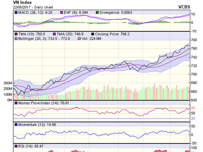 Biểu đồ kỹ thuật VN-Index. Nguồn: VCBS