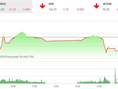 Phiên chiều 22/2: Lực bán áp đảo, VN-Index mất hơn 11 điểm