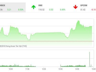 Phiên chiều 23/8: Cổ phiếu vốn hóa lớn giữ nhịp thị trường