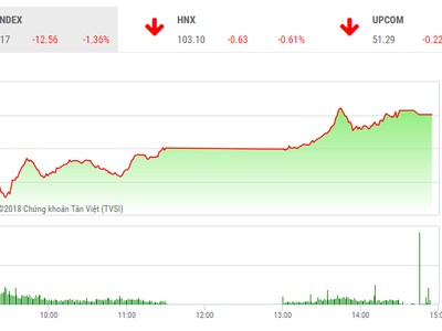 Phiên chiều 25/10: Cầu bắt đáy mạnh dạn, VN-Index thu hẹp đà giảm