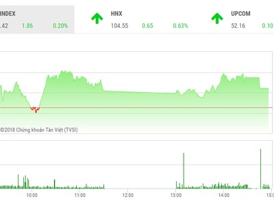 Phiên chiều 22/11: Thị trường phân hóa, VN-Index bị níu chân