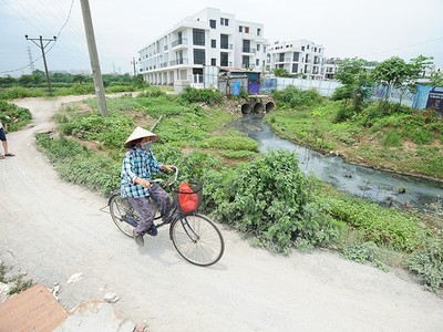 Địa ốc 7 ngày: Xôn xao “cảnh sống khốn khổ” ở biệt thự tiền tỷ