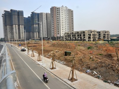 Theo Phó viện trưởng CIEM, hiện thị trường bất động sản Việt Nam đã có 8/10 dấu hiệu bong bóng. Ảnh: Dũng Minh